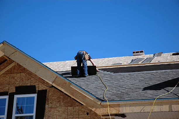 Best Roof Gutter Cleaning  in Olyphant, PA
